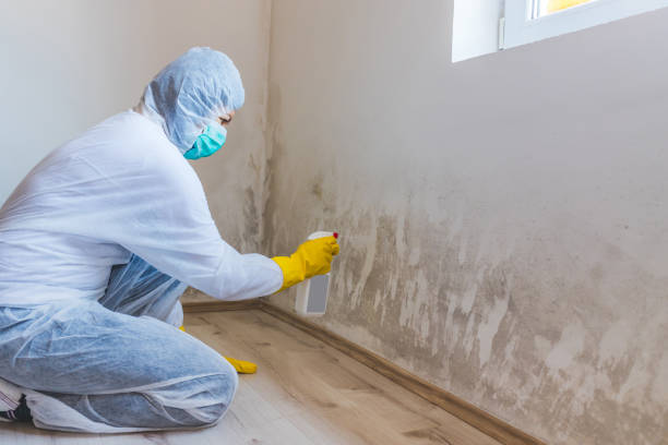Crawl Space Mold Remediation treatment of floor joists in West Point